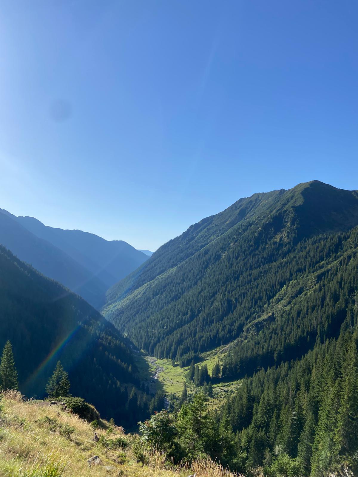 🌄 Pe drum spre Vârful Moldoveanu cu Jasmine